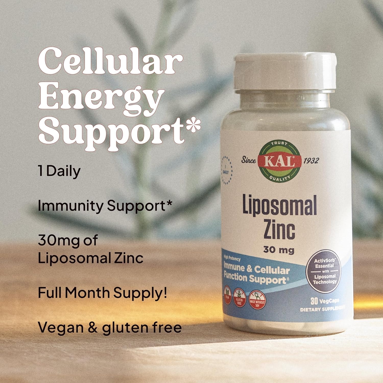 KAL Liposomal Zinc 30mg ActivSorb Essentials with Liposomal Technology