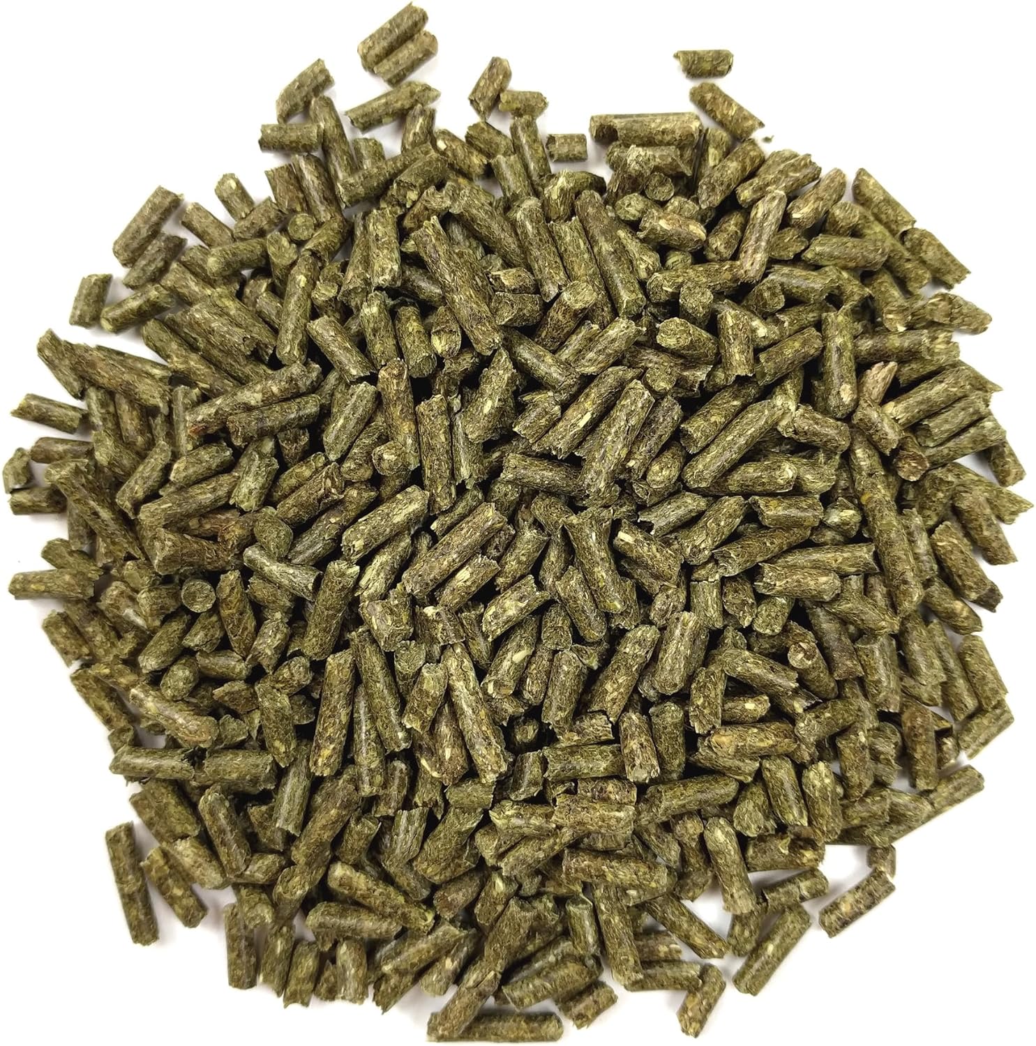 Oxbow Essentials Young Guinea Pig Food - All Natural Guinea Pig Pellets - 10 lb. : Pet Food : Pet Supplies