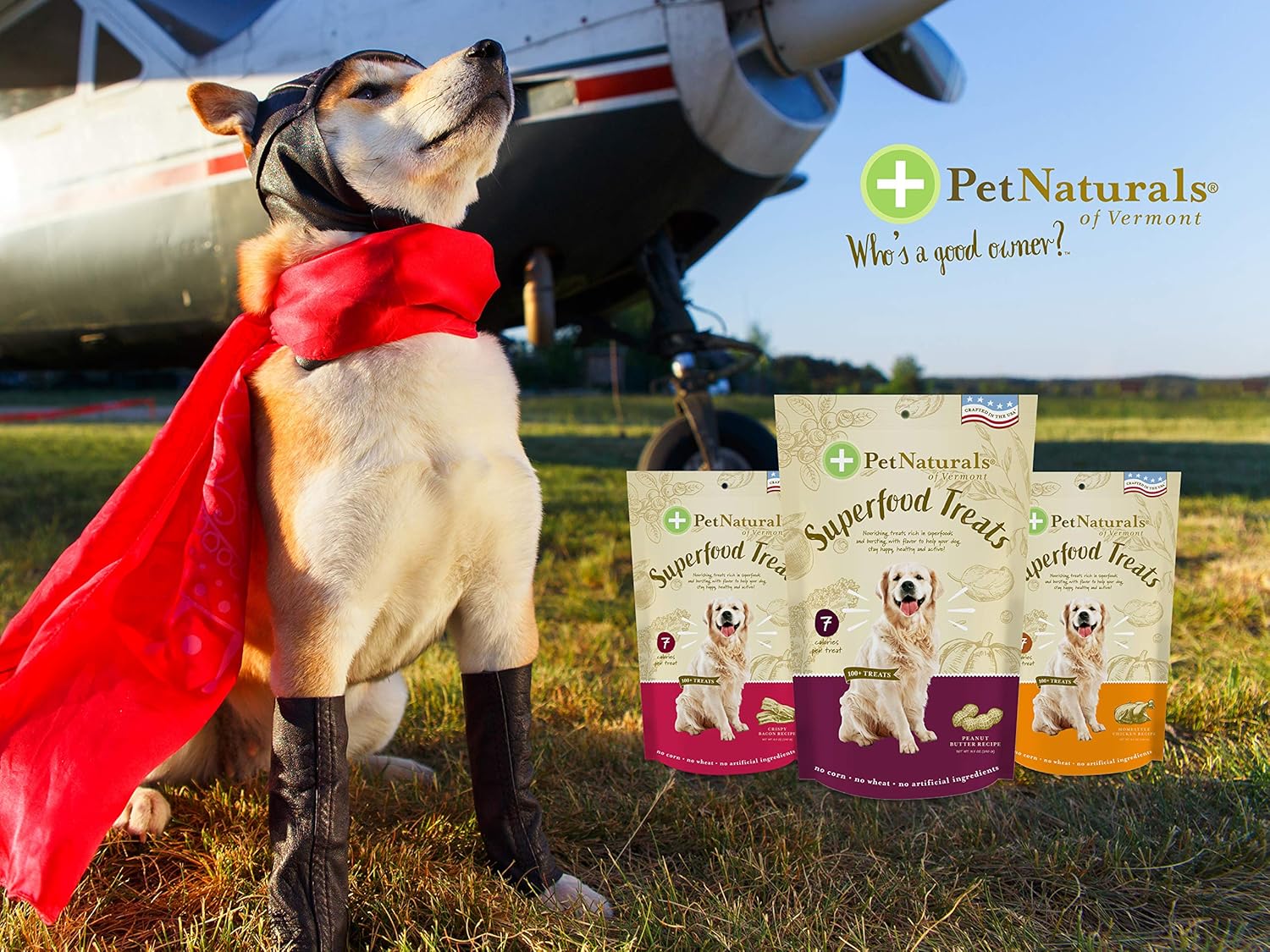 Pet Naturals Superfood Dog Treats with Blueberry and Kale - No Corn, Wheat or Artificial Ingredients - Healthy Snacks for Good Behavior and Training - Chicken Flavor, 100 Chews (Pack of 1) : Pet Supplies