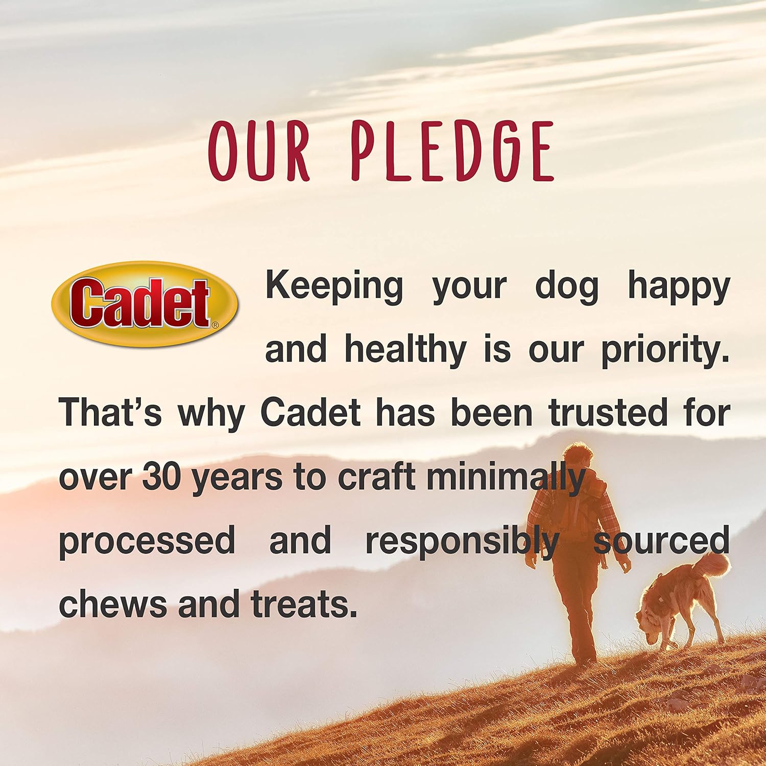 Cadet Gourmet Chicken Breast Dog Treats 3 oz. : Pet Supplies