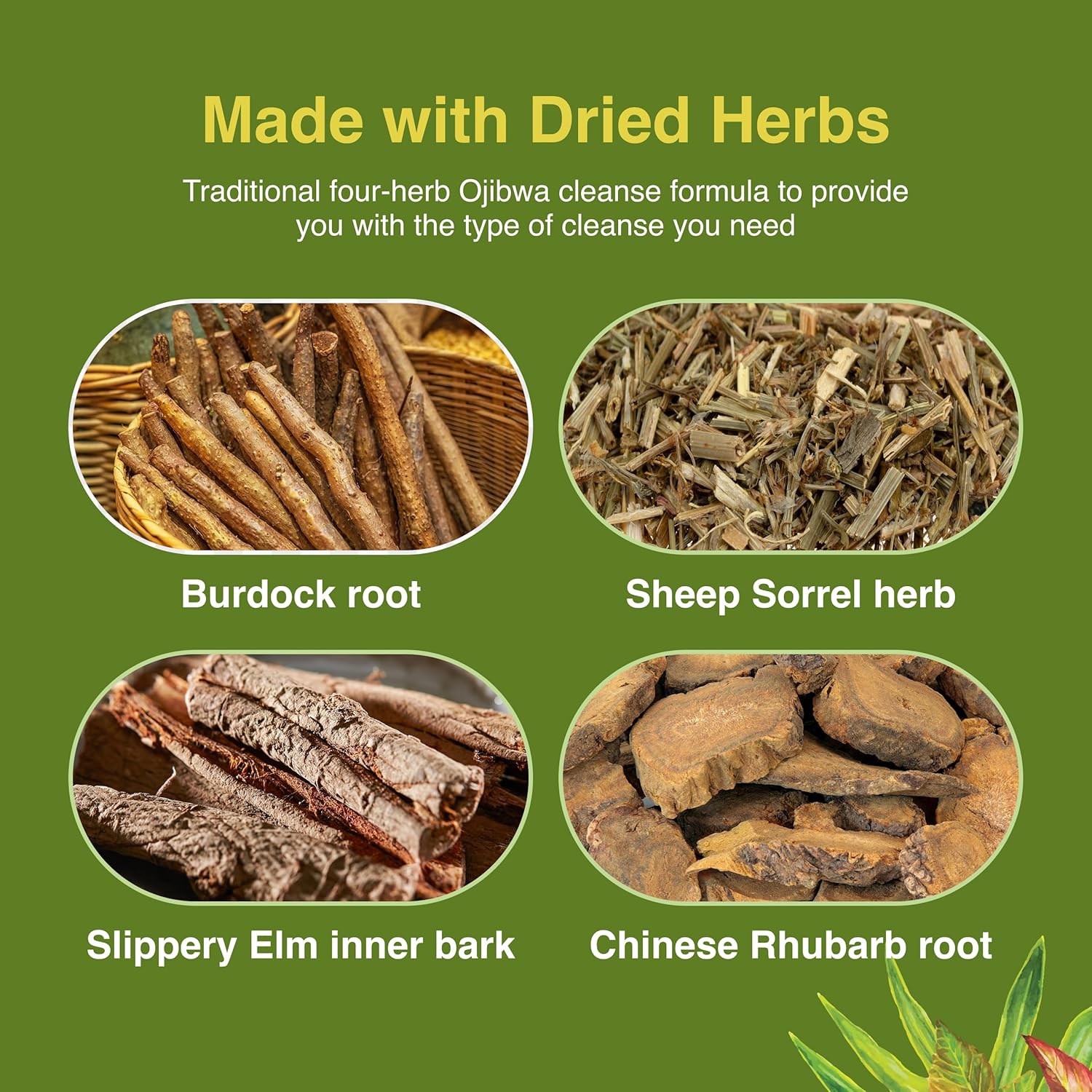 Herbs Etc. Essiac Tonic 4 Oz : Health & Household