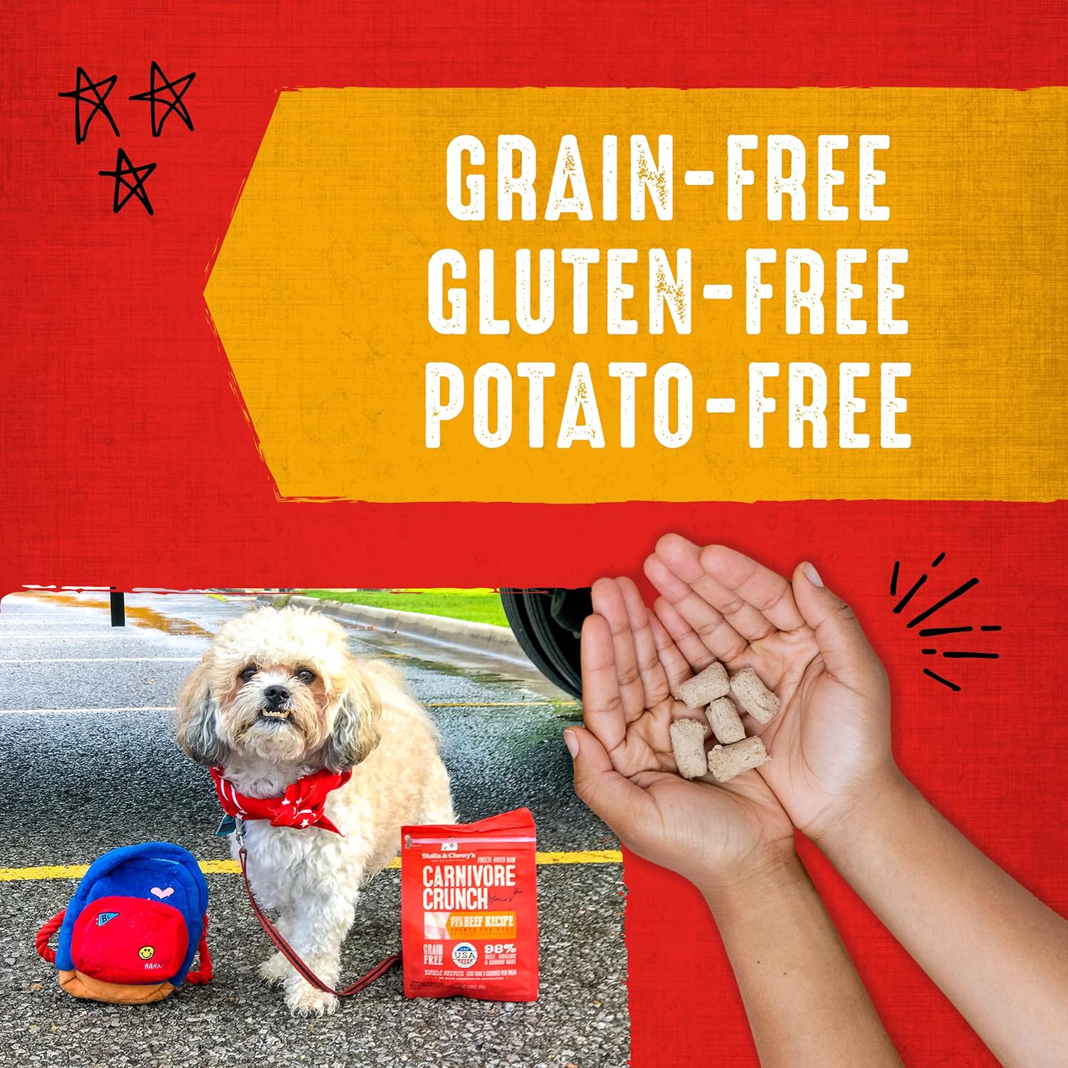 Stella & Chewy's Freeze-Dried Raw Carnivore Crunch Cage-Free Chicken Recipe Dog Treats – 3.25 oz. Bag : Pet Snack Treats : Pet Supplies