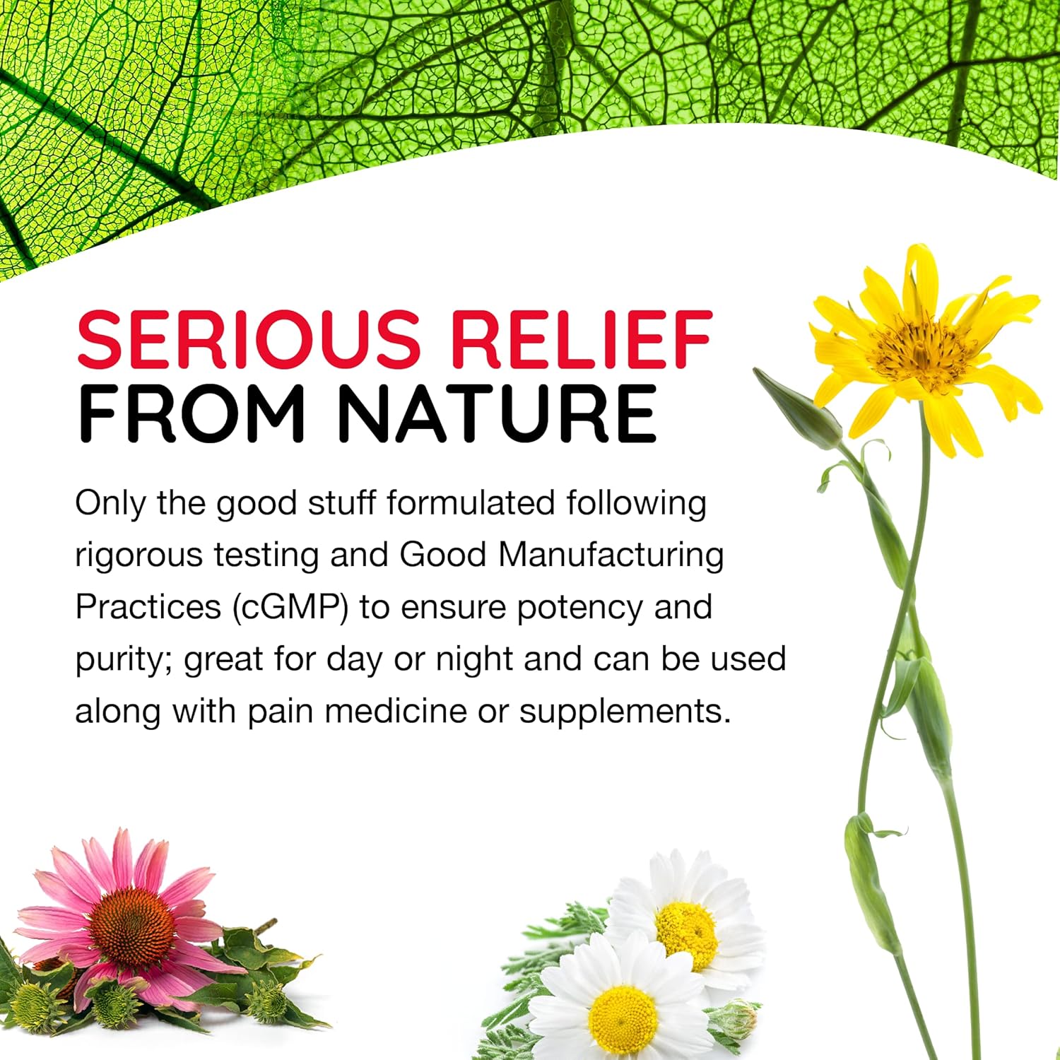 Medinatura T-Relief Extra Strength Pain Relief Cream Arnica +12 Fast-Acting Natural Relieving Actives Help Reduce Back, Neck, Joint, Muscle, Hand & Foot Aches, Pains, & Soreness - 3 Oz : Health & Household