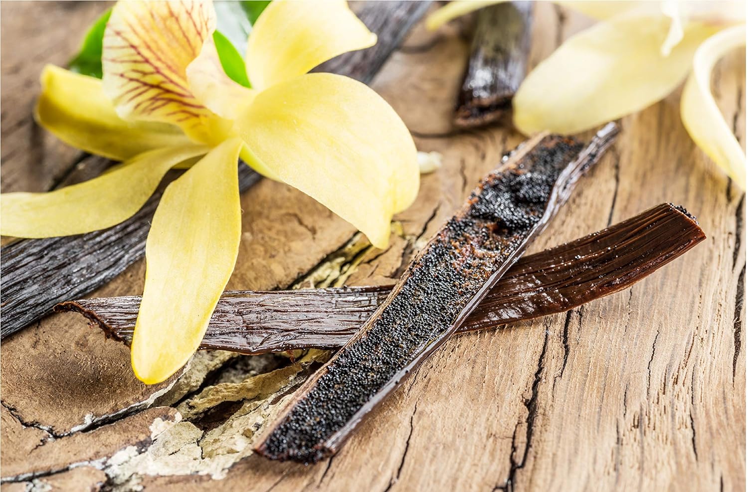 10 Vanilla Beans - Whole Gourmet Grade A Pods For Baking, Homemade Extract, Brewing, Coffee, Cooking - (Tahitian)