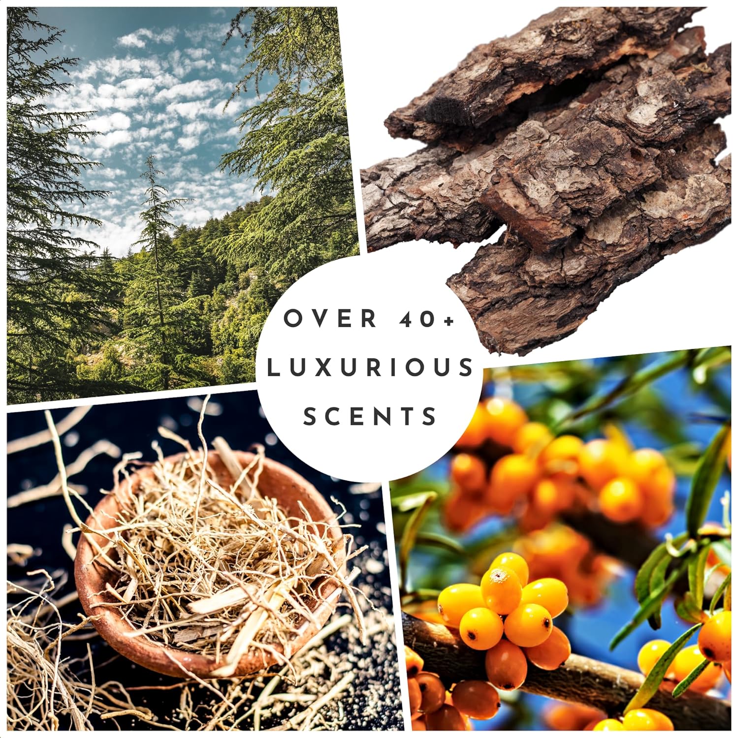 Durance L'Ome Eau de Toilette For Men, 100ml - Wild Sea Buckthorn Fragrance For Men - Citrus, Aromatic, Woody Scent Infused - Men's Aftershave Perfume : Amazon.co.uk: Beauty