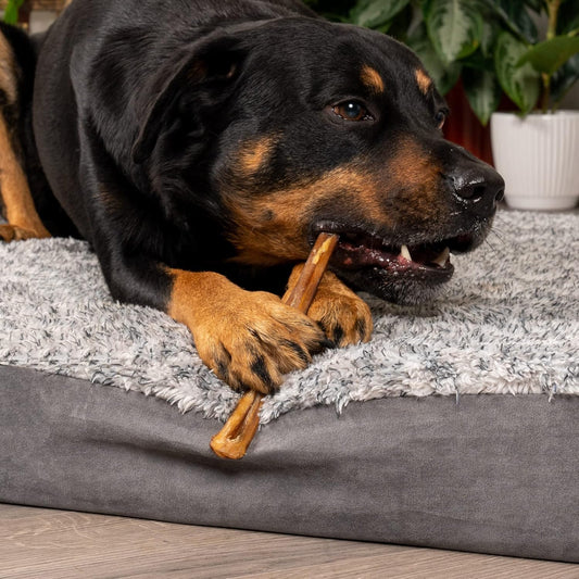 Pet Factory Real Chewz 12" Steer Sticks Dog Chew Treats, 100% All-Natural - 2 Count/1 Pack