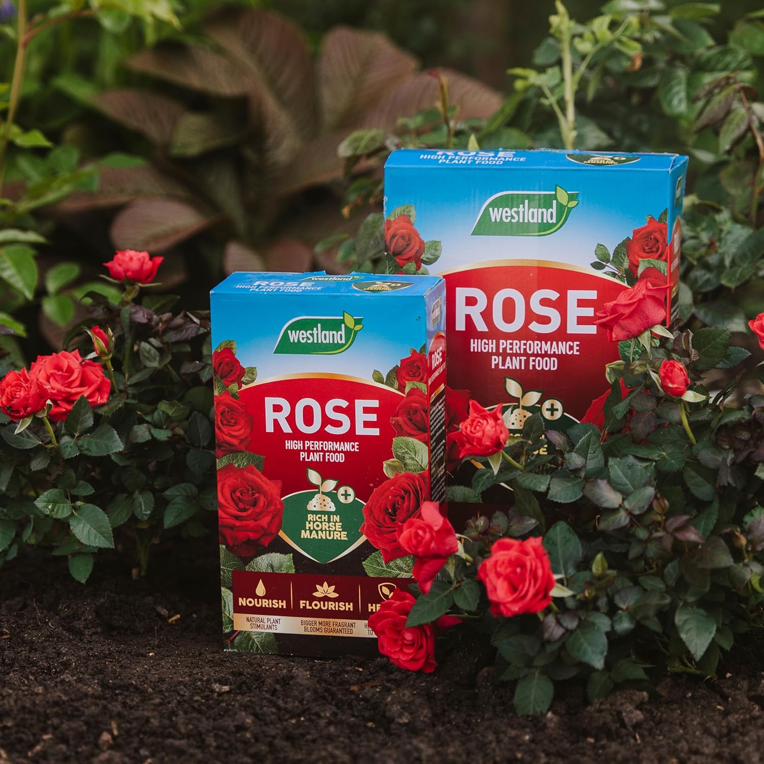 Westland Horse Manure and Plant Stimulant Enriched Rose Food, 3 kg :Garden