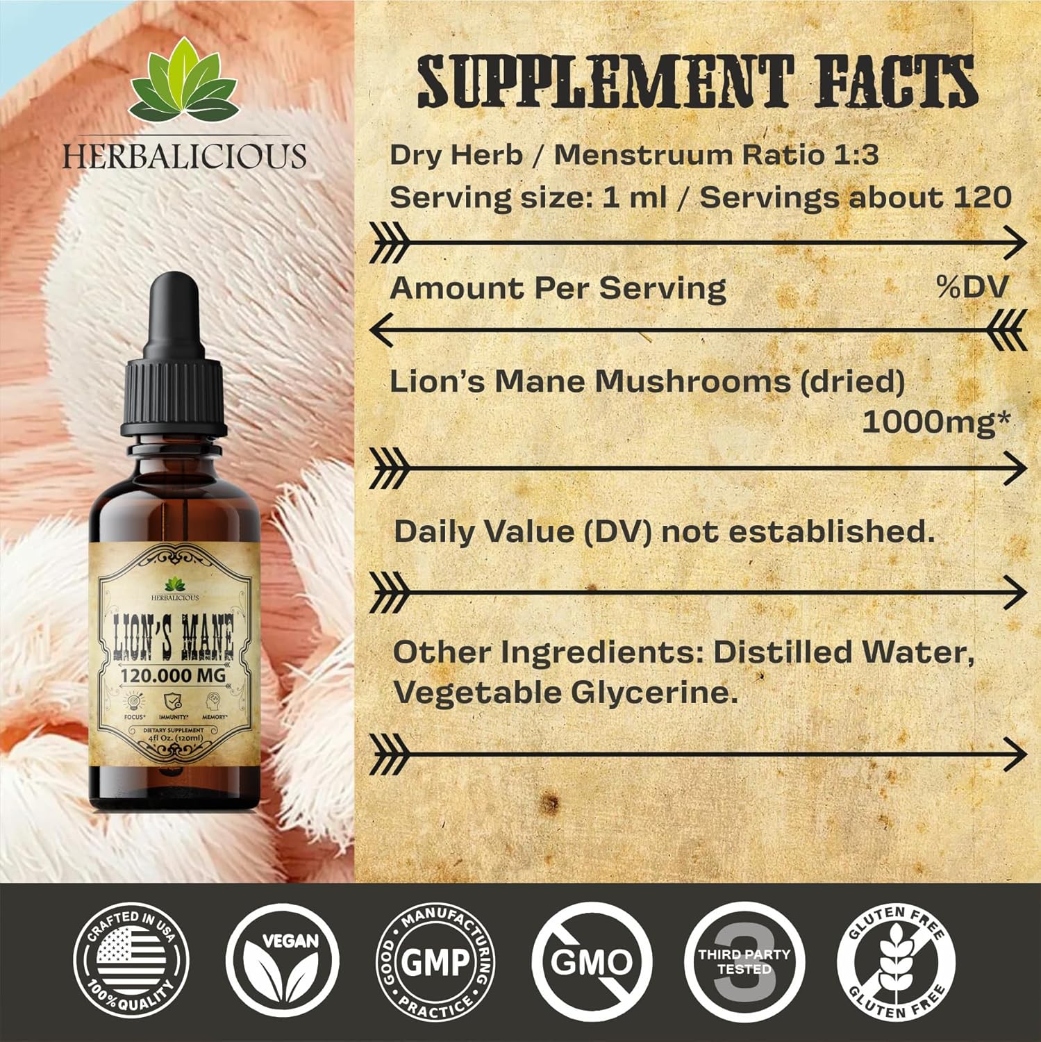 Herbalicious Lion’S Mane Liquid Mushroom Supplement – Premium Mushroom Extract Brain Supplement For Memory Focus, Clarity And Nerve Support – Non-Gluten And Non-Gmo Supplement Lions Mane 2 Fl Oz : Health & Household