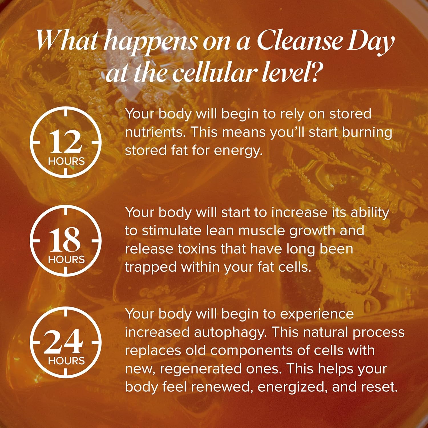 Isagenix Cleanse For Life - Detox System Support With Vitamins & Minerals - Support Healthy Metabolism With Antioxidant Supplement - Gluten & Soy Free Cleanse Drink - Peach Mango, 32 Oz : Health & Household