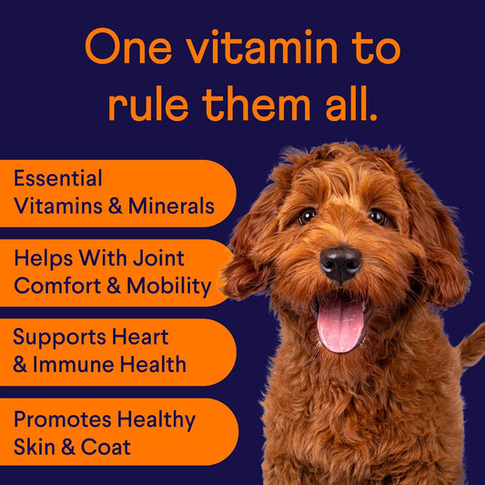 Finn All-in-1 Dog Multivitamin - Everyday Multivitamin Supplement for Dogs with Probiotics, Omega-3s, Glucosamine | Gut & Immune Health, Joint Support, Heart Health | 90 Soft Chews