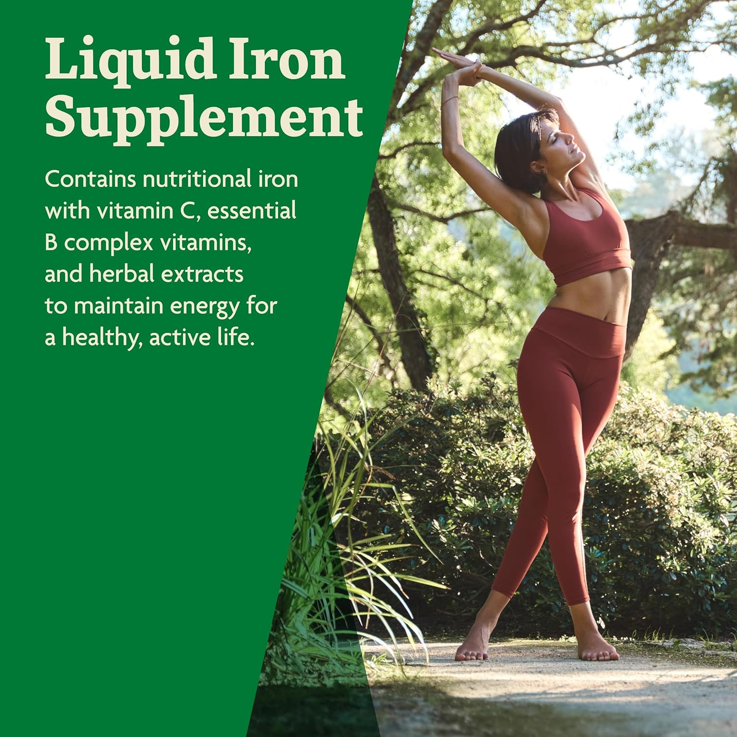 Floradix by Salus Iron & Herbs - Liquid Herbal Supplement for Energy Support - Iron Supplement with Vitamin C & B Complex Vitamins - Liquid Iron Supplement for Men & Women - 17 oz : Health & Household