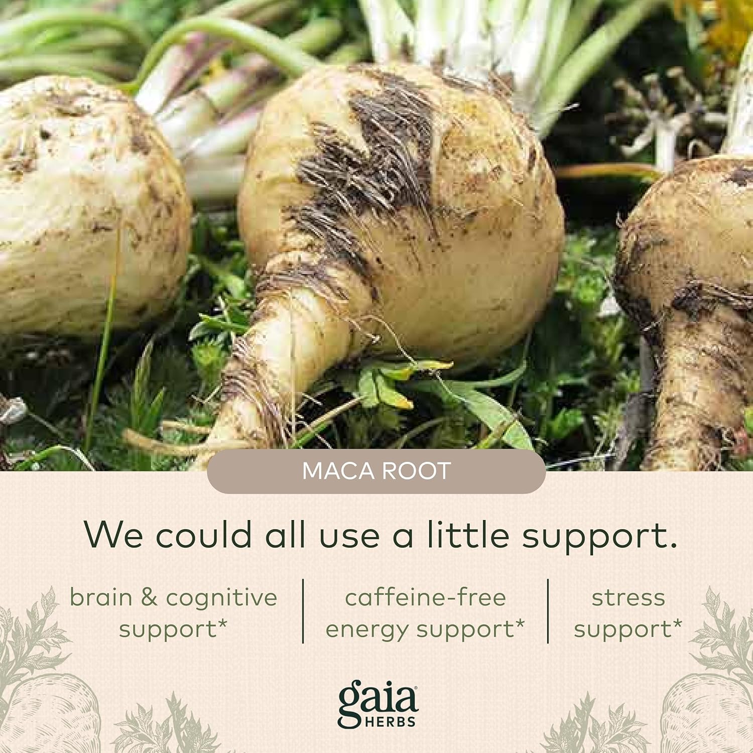 Gaia Herbs Maca Powder - Natural Energy Supplement - Supports and Maintains Healthy Energy and Stamina - Made with USDA Certified Organic Maca Root (Lepidium meyenii) - 16 Oz (138-Day Supply) : Health & Household