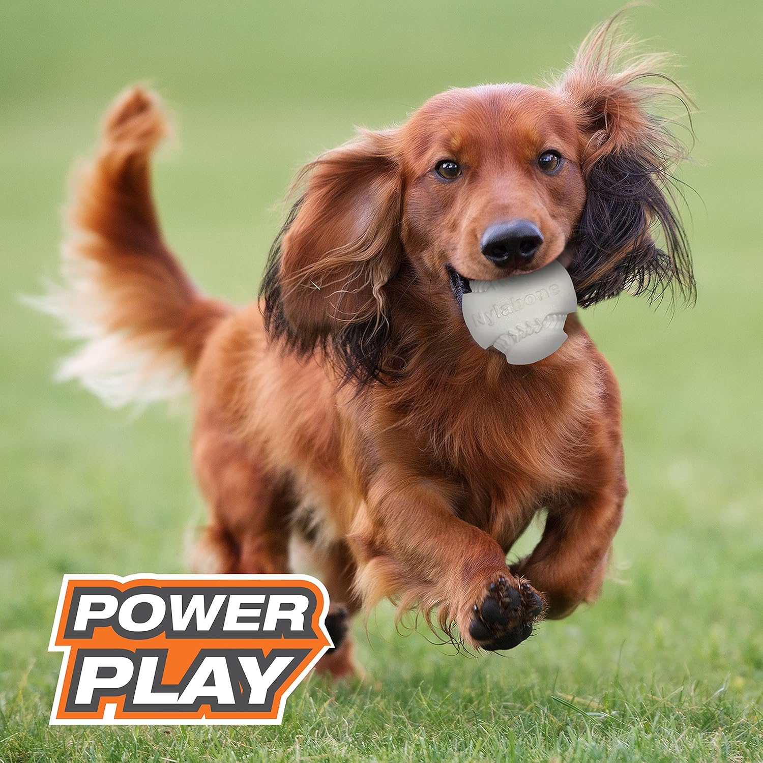 Pet Supplies : Nylabone Power Play Baseball Gripz Fetch Toy, Squeaky Ball Chew Toy for Dogs, Medium (1 Count) : Amazon.com