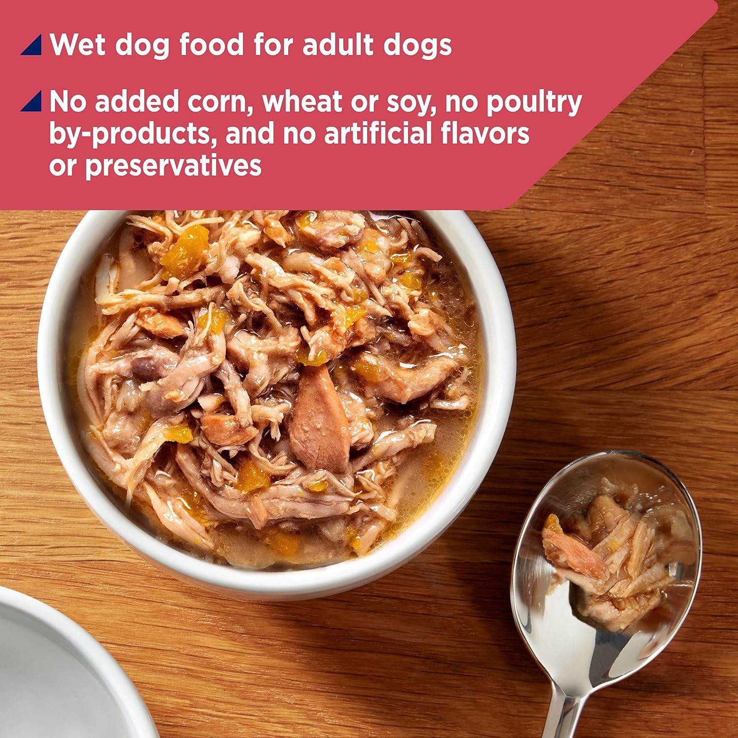 Nature's Recipe Wet Dog Food, Chicken & Wild Salmon in Broth Recipe, 2.75 Ounce Cup (Pack of 12): Pet Supplies: Amazon.com
