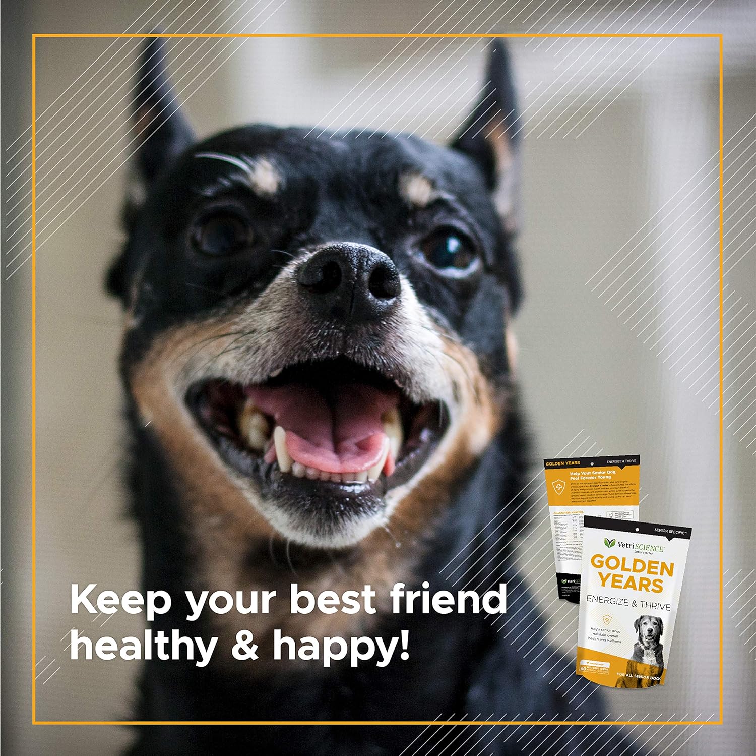 VetriScience Golden Years Energize and Thrive Complete Daily Multivitamin with BCAAs for Senior Dogs, Chicken, 60 Chews : Pet Supplies