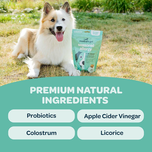 Dog Allergy Relief Chews - Boosting Immunity & Providing Seasonal Allergy Support for Canines - Dog Allergy Support Pets Treats Probiotics Colostrum Omega-3 Apple Cider Vinegar - 90 Healthy Pet Chews