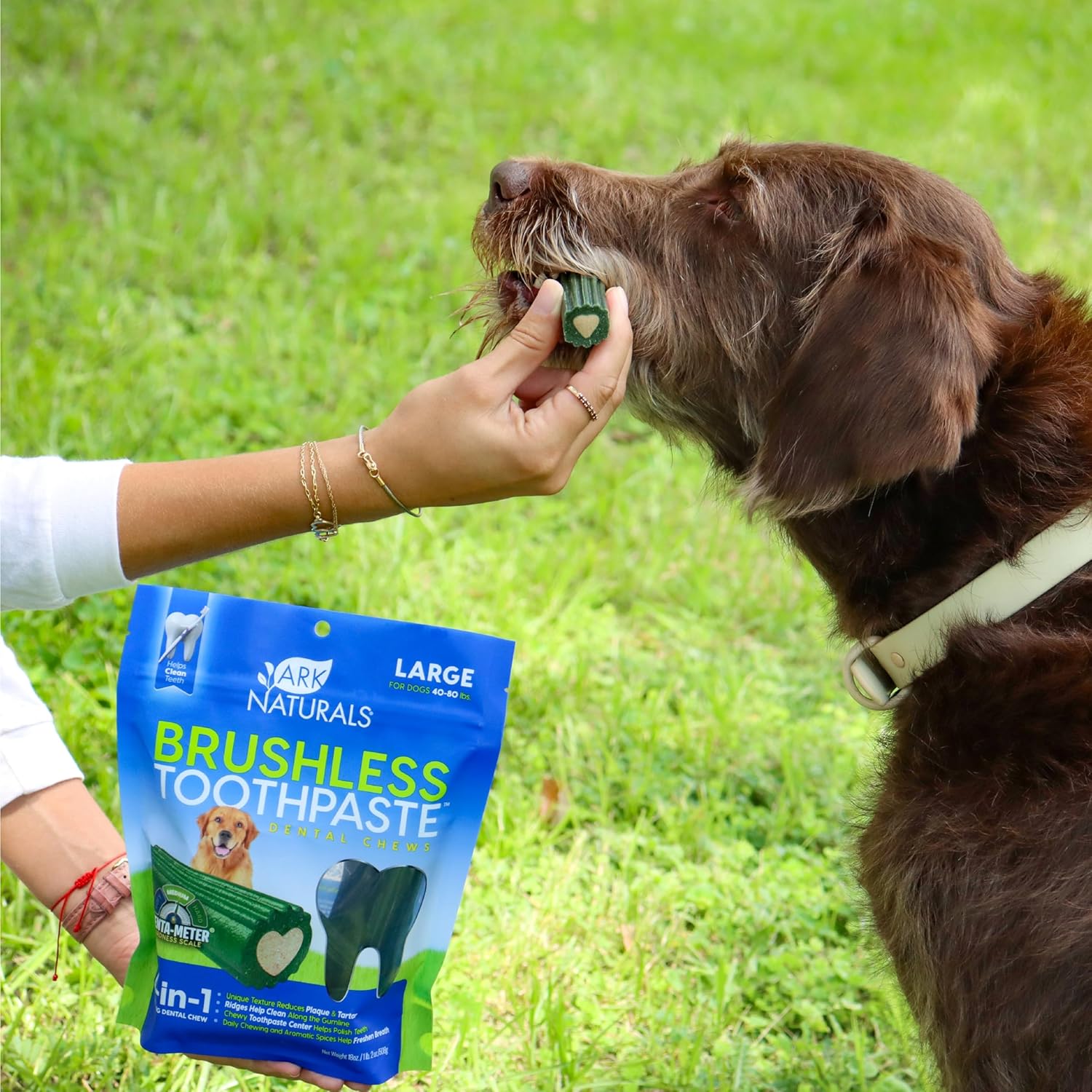 ARK NATURALS Brushless Toothpaste, Dog Dental Chews for Large Breeds, Freshens Breath, Helps Reduce Plaque & Tartar, 18oz, 1 Pack : Pet Supplies