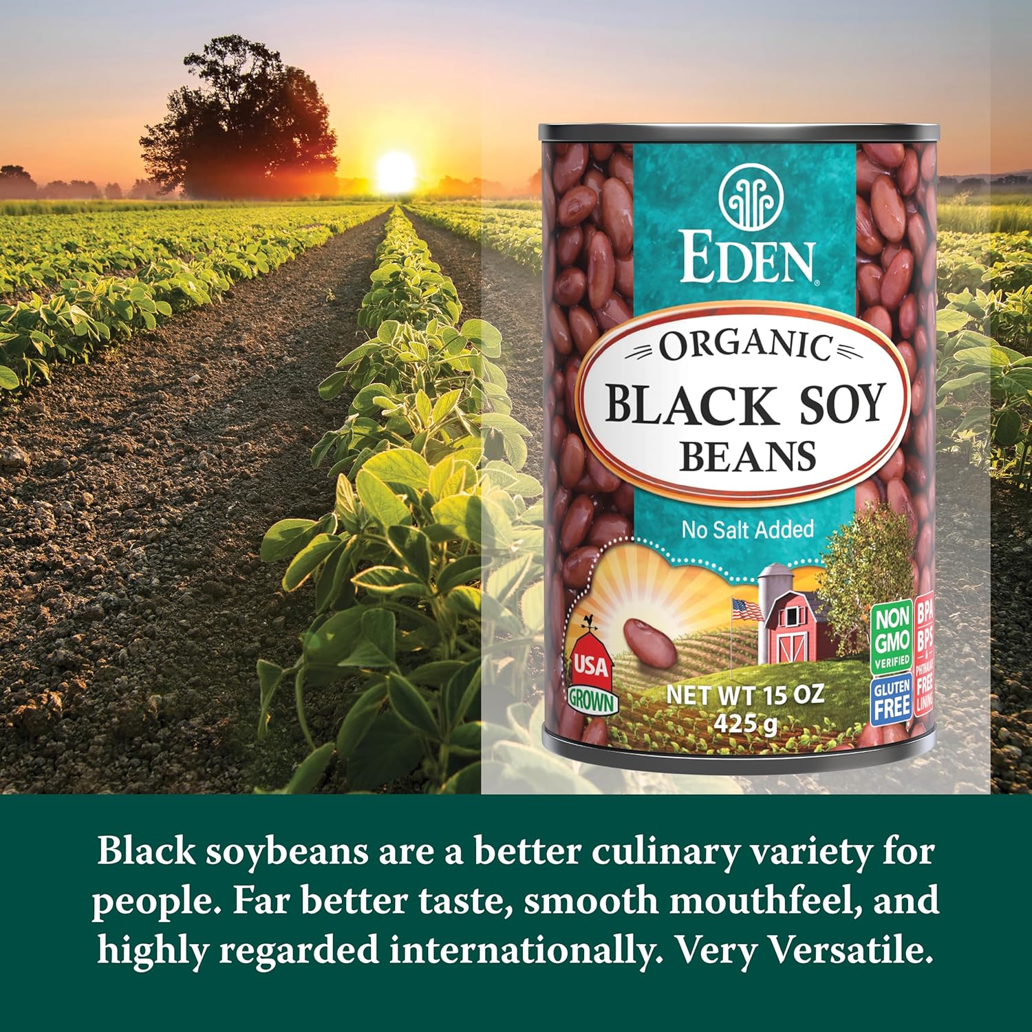 Eden Organic Black Soybeans, 15 Oz Can, Complete Protein, No Salt, Non-Gmo, Gluten Free, Vegan, Kosher, U.S. Grown, Heat And Serve, Macrobiotic, Soy Beans : Dried Black Beans : Grocery & Gourmet Food