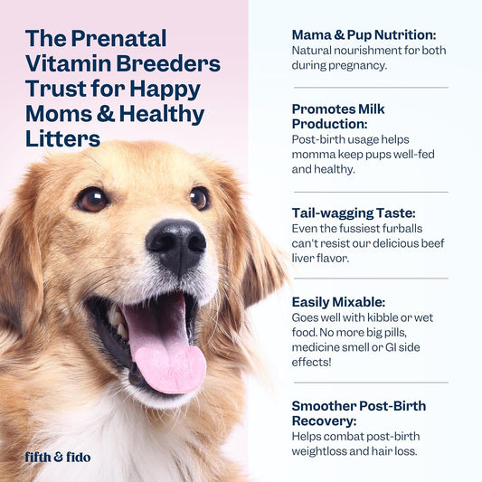 Dog Prenatal Vitamins - Prenatal Vitamins For Dogs - Prenatal Kit For Pregnant Dogs With Iron, D3 And Folic Acid - Prenatal Dog Vitamins To Enhance Recovery And Milk Production For Nursing Puppies