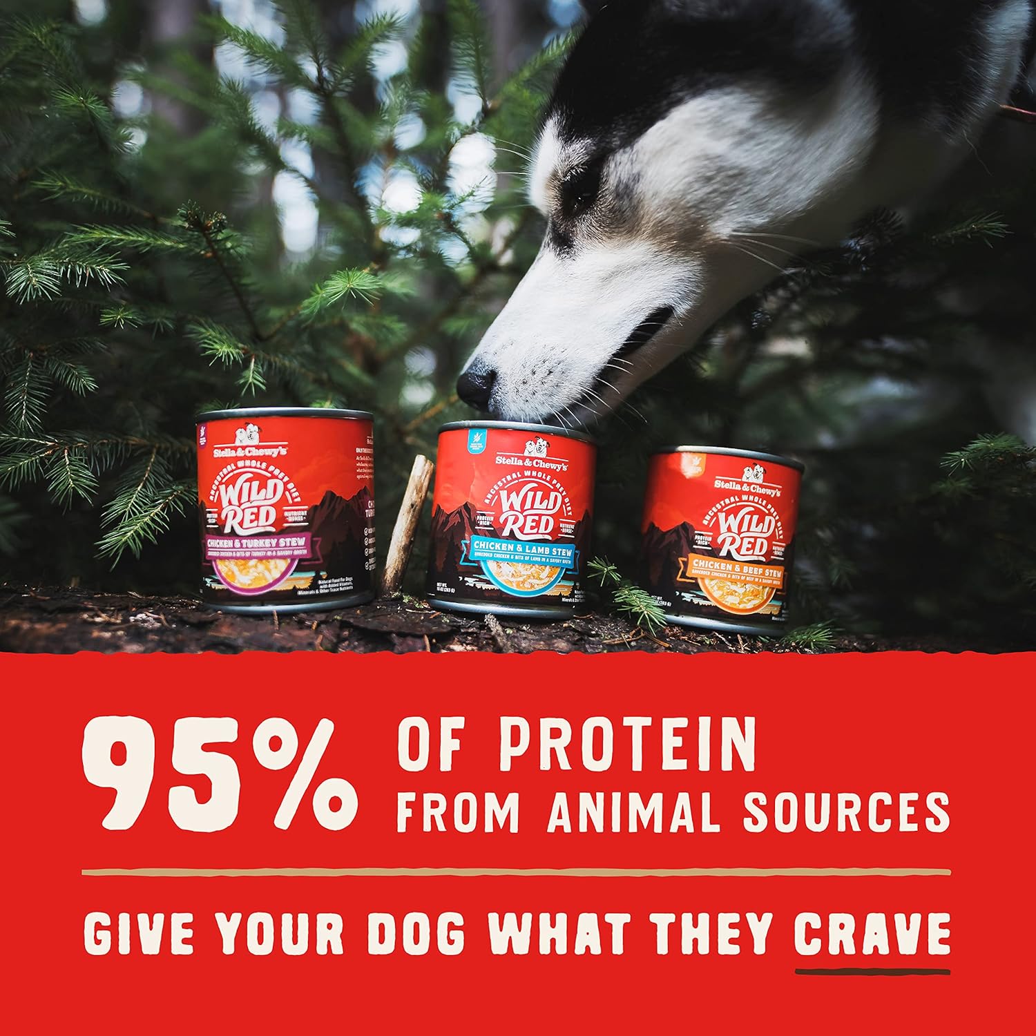Stella & Chewy's Wild Red Wet Dog Food Chicken & Turkey Stew High Protein Recipe, 10 Ounce (Pack of 6) : Pet Supplies