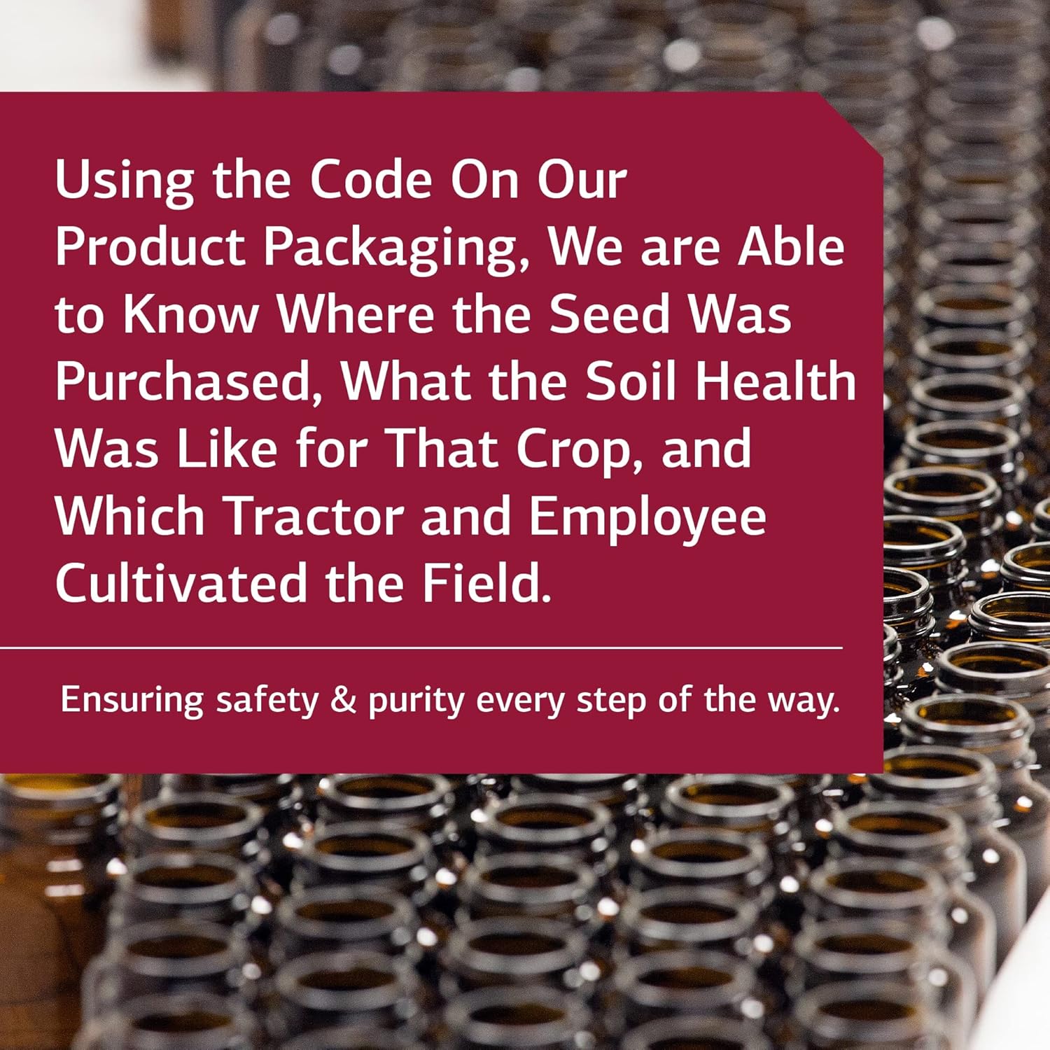 Standard Process A-C Carbamide - Gluten-Free Kidney Support Supplement with Vitamin A, Vitamin C, and Arrowroot Flour - 270 Capsules : Health & Household