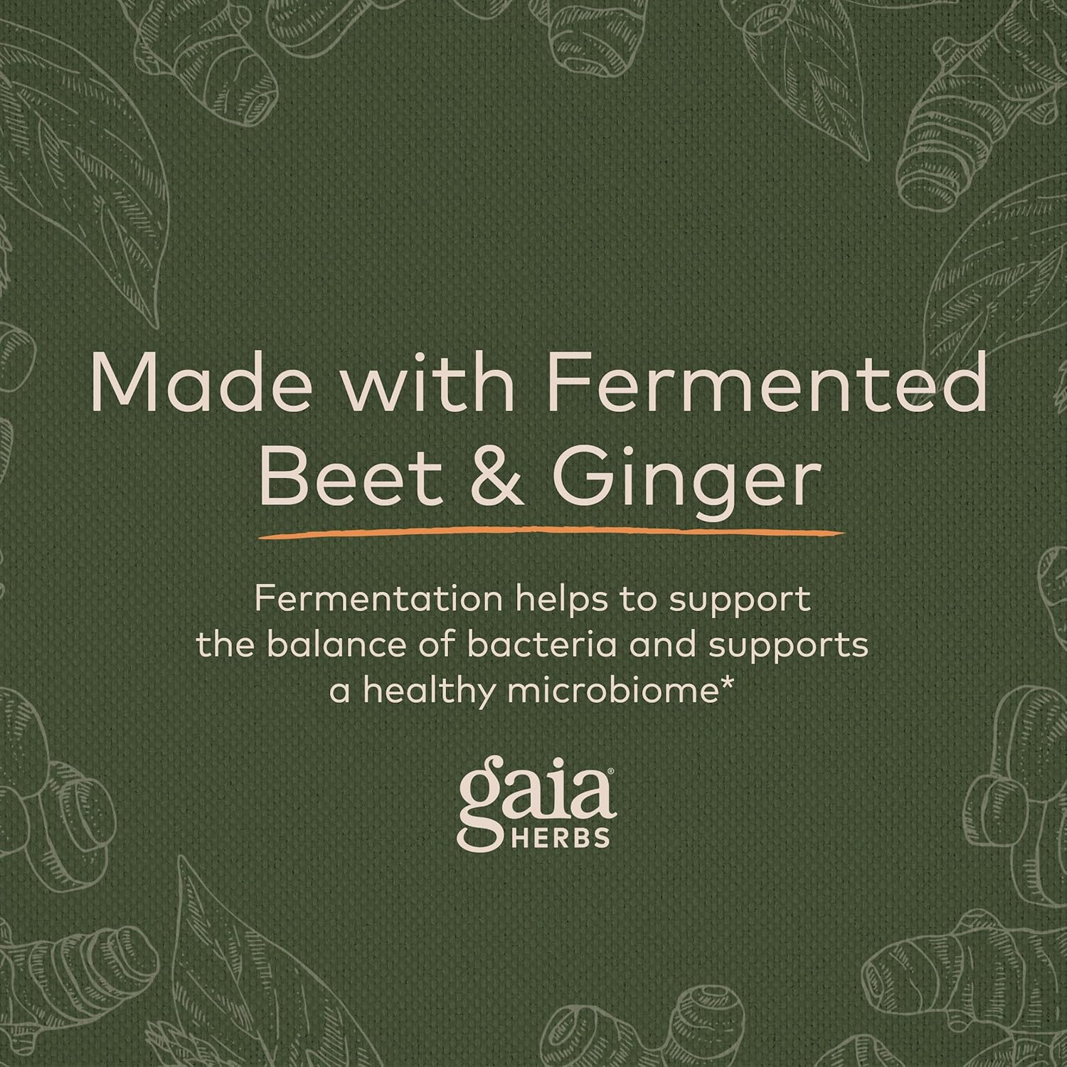 Gaia Herbs Ginger-Beet Postbiotic - Supplement for Gut & Heart Health Support - Made with Organic Fermented Beets & Ginger - Free from Dairy, Soy & Gluten - 60 Vegan Capsules (30 Servings) : Health & Household