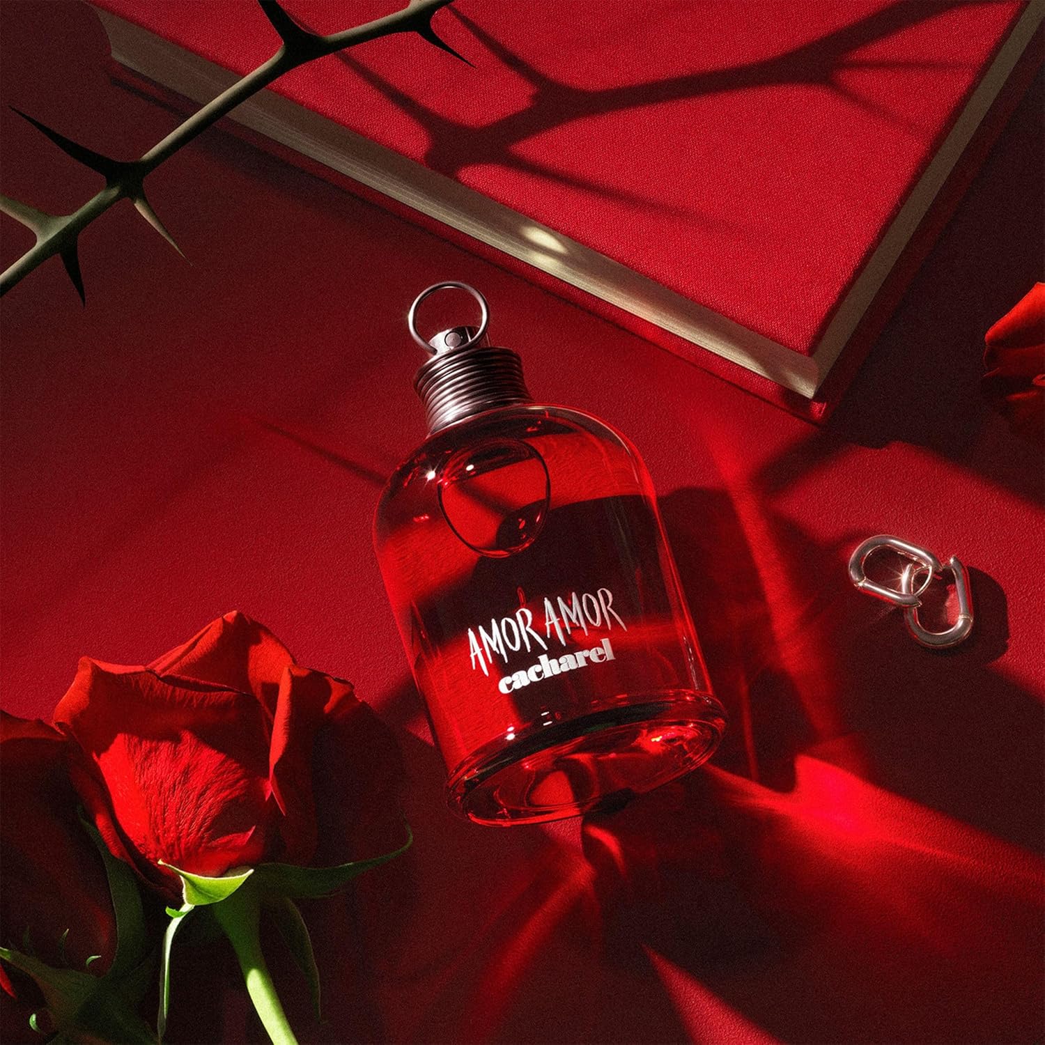 Cacharel Amor Amor, Eau de Toilette Women's Perfume, Long Lasting, Attractive, For Every Occasion, 100ml : Amazon.co.uk: Beauty