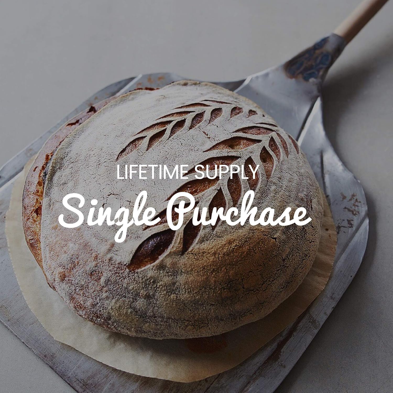 Freshly Fermented – Organic & Vegan Certified Freeze Dried Sourdough Culture, Rye : Amazon.co.uk: Grocery