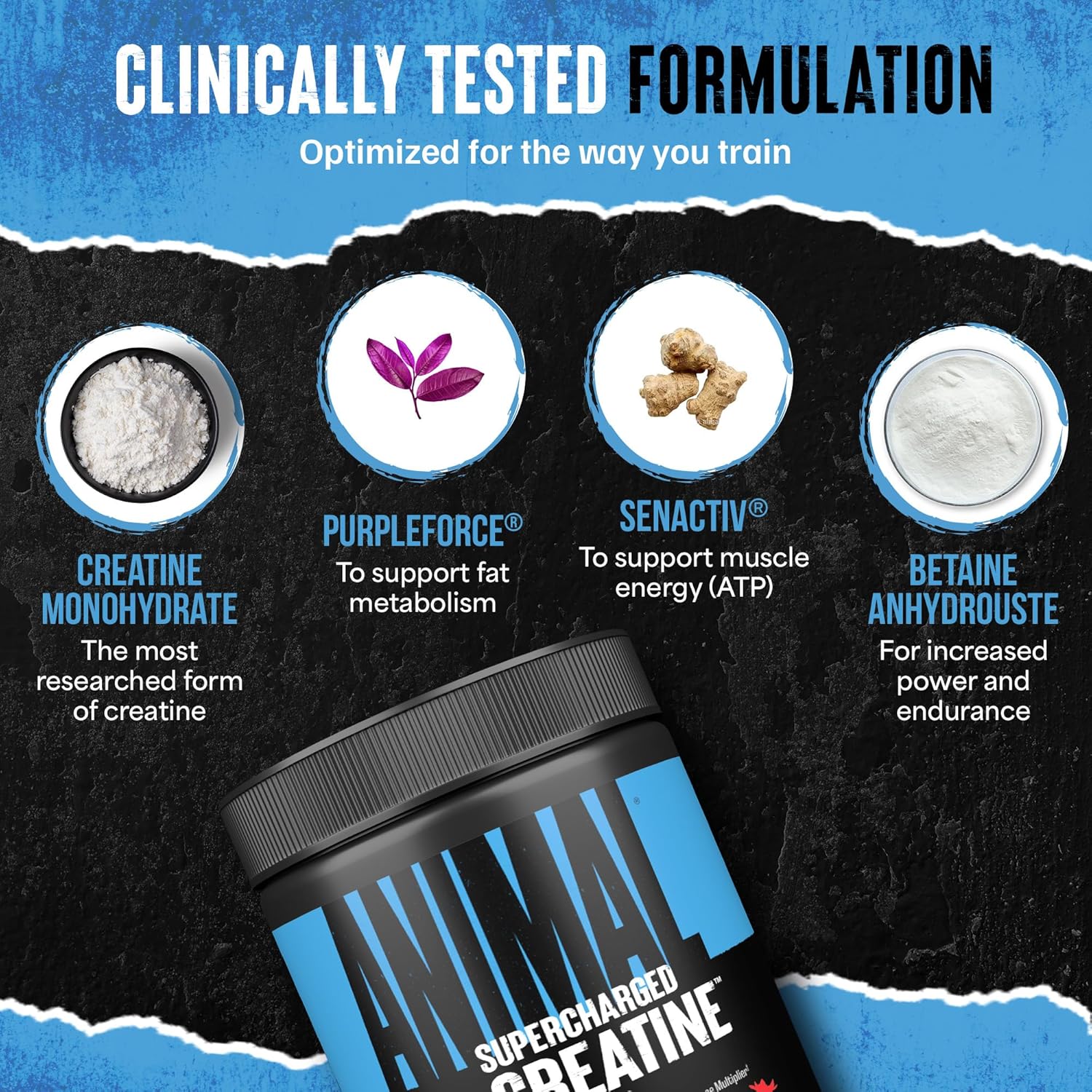 Animal Supercharged Creatine Powder - Flavored Creatine Monohydrate Enhanced With Betaine Anhydrous, Purpleforce & Senactiv, Strength, Endurance, Muscle Recovery For Men And Women - Watermelon, 300G : Health & Household