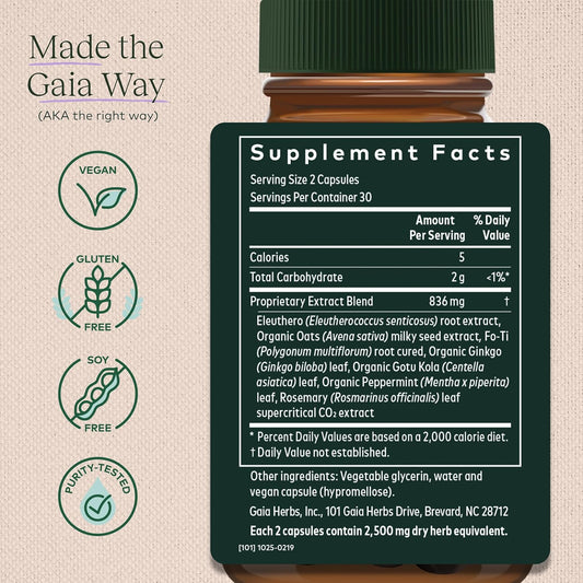 Gaia Herbs Mental Alertness - Brain Support Supplement To Help Maintain Focus & Memory* - With Eleuthero, Ginkgo Leaf, Gotu Kola, Rosemary & Oats - 60 Vegan Liquid Phyto-Capsules (15-Day Supply)