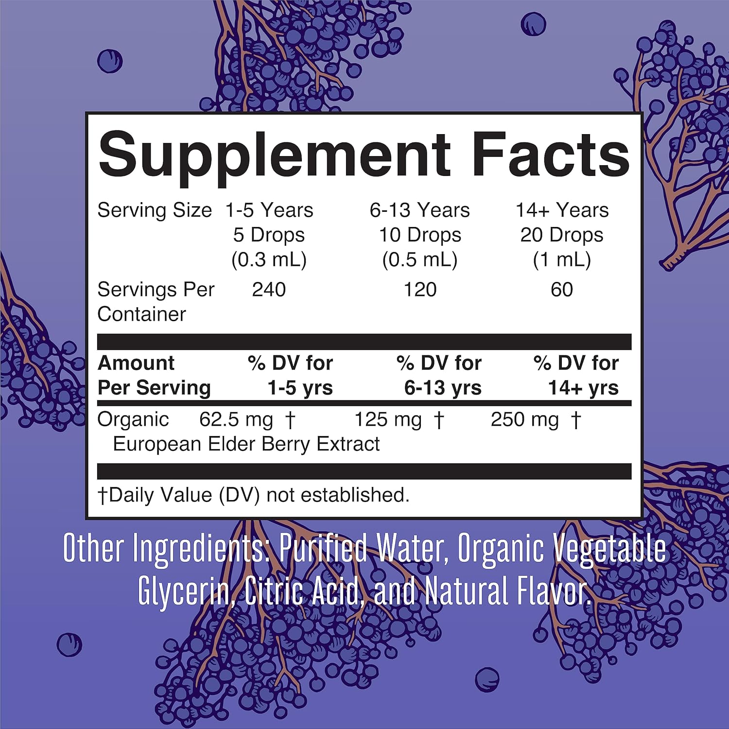 MaryRuth Organics Elderberry Syrup Extra Strength, USDA Organic Elderberry, Sugar Free Adults & Kids Immune Support Supplement for Ages 1+, Clean Label Project Verified®, Vegan, Gluten Free, 2 Fl Oz : Health & Household