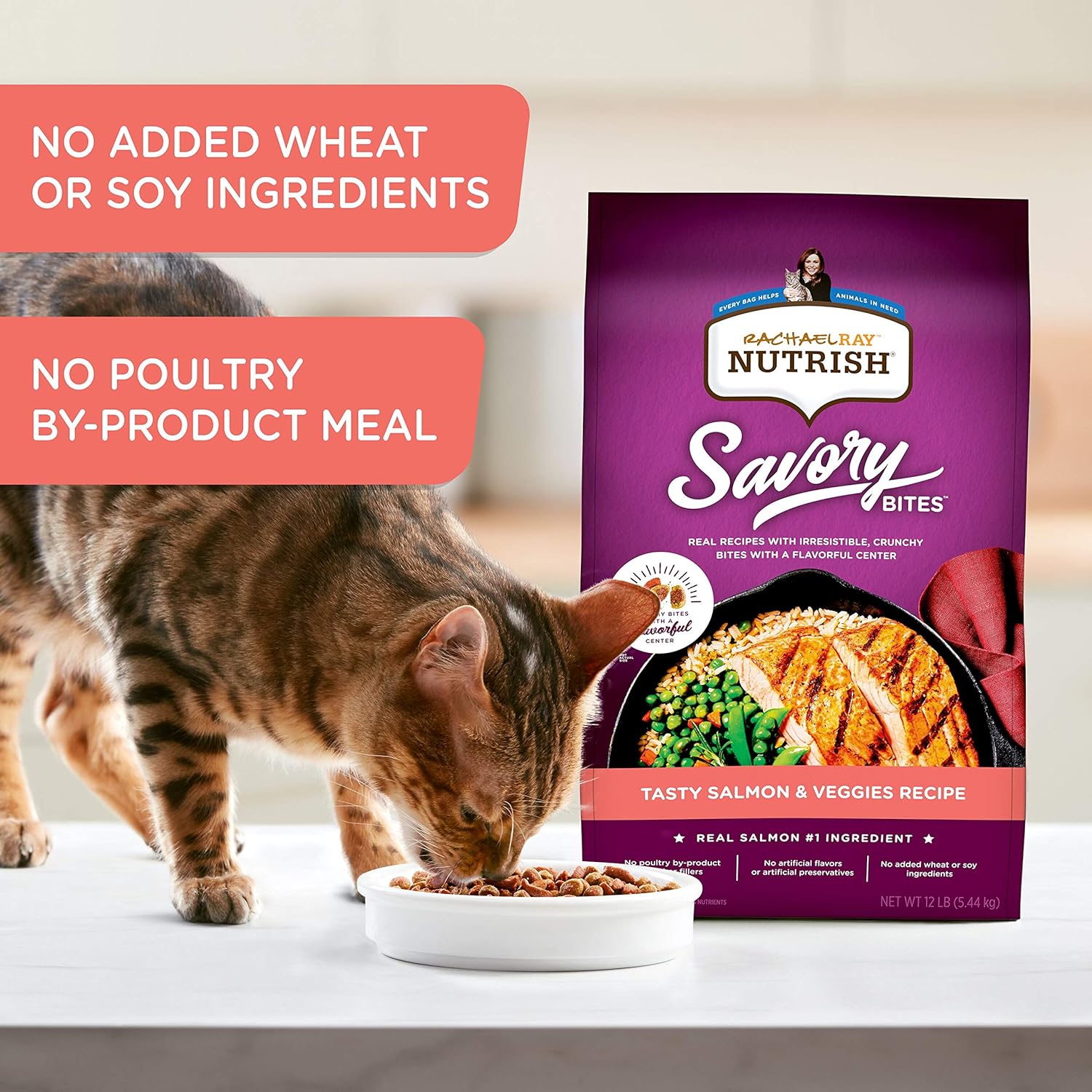 Rachael Ray Nutrish Savory Bites Dry Cat Food, Tasty Salmon & Veggies Recipe, 5 Pound Bag : Pet Supplies