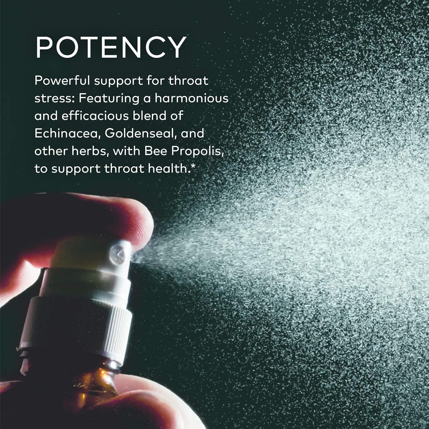 Gaia Herbs Echinacea Goldenseal Propolis Throat Spray- Supports Healthy Immune Response, 1   (Pack of 2)
