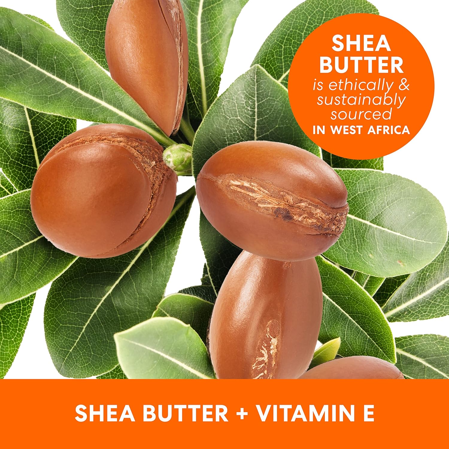 Palmer's Shea Formula Raw Shea Body Oil with Vitamin E, Deep Body Moisturizer to Soothe & Nourish Dry, Sensitive & Eczema-Prone Skin, 8.5 oz : Beauty & Personal Care