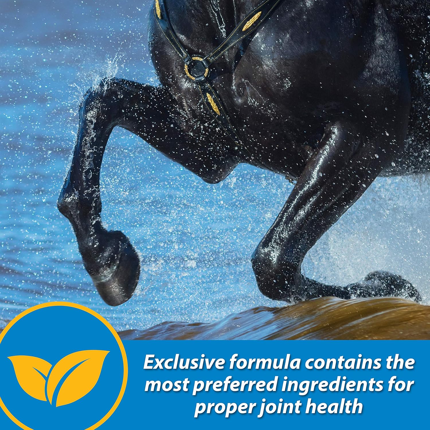 Farnam Fluidflex Liquid Joint Supplement for Horses, Helps Maintain Healthy Hip & Joint Function, 1 Gallon, 128 Ounces, 128 Day Supply : Pet Supplies