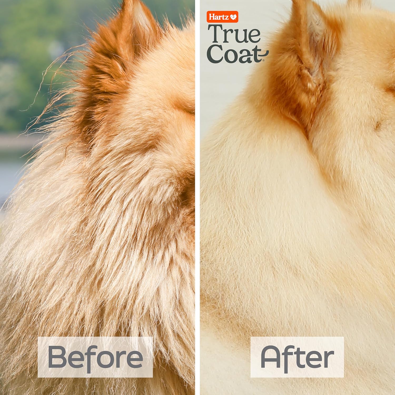 New! Hartz True Coat Thick Coat Dog Shampoo, Desheds & Softens with Oat Milk, Coconut Oil & Aloe