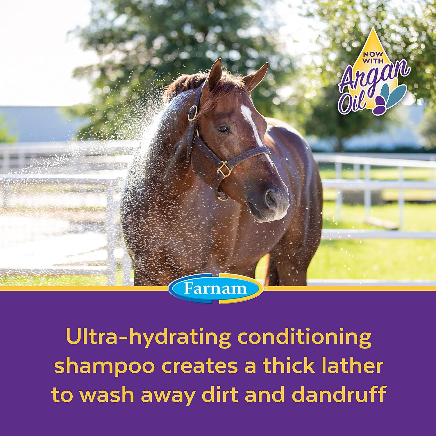 Farnam Vetrolin Bath Ultra-Hydrating Shampoo for Horses and Dogs 32 Ounces,Green : Everything Else