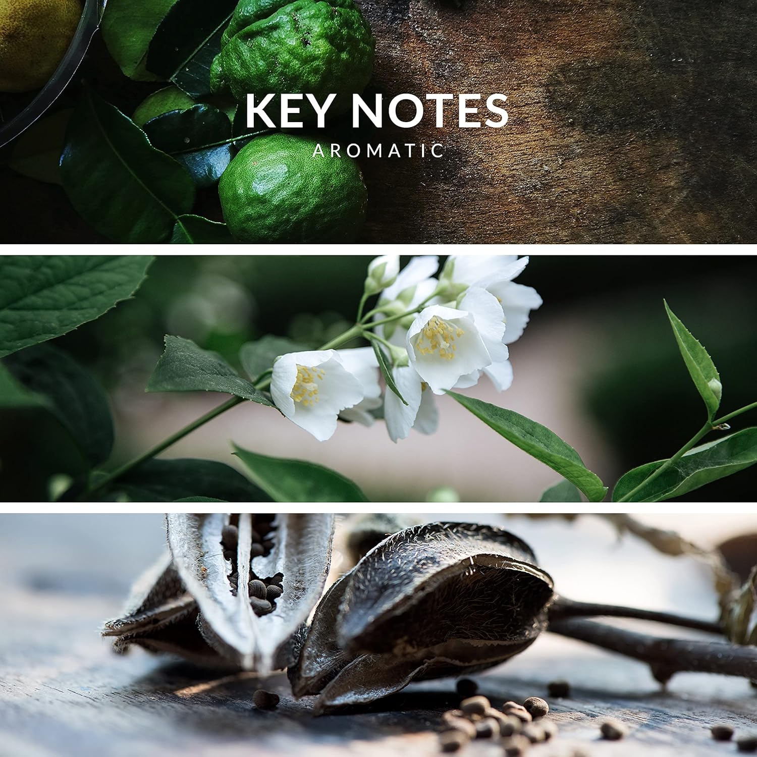 Insurrection Pure By Reyane Tradition : Beauty & Personal Care