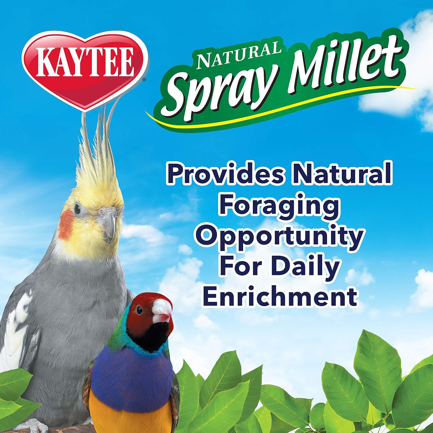Kaytee Spray Millet Treat for Pet Birds, 7 Ounce : Pet Food : Pet Supplies
