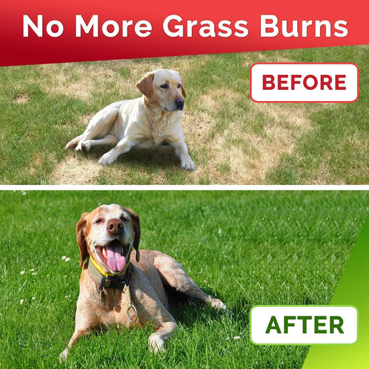 Grass Treats For Dogs - Dog Pee Lawn Repair - Grass Burn Spots Caused By Dog Urine - Grass Rocks With Probiotics + Digestive Enzymes, Cranberry - Made In Usa - 120 Soft Chews