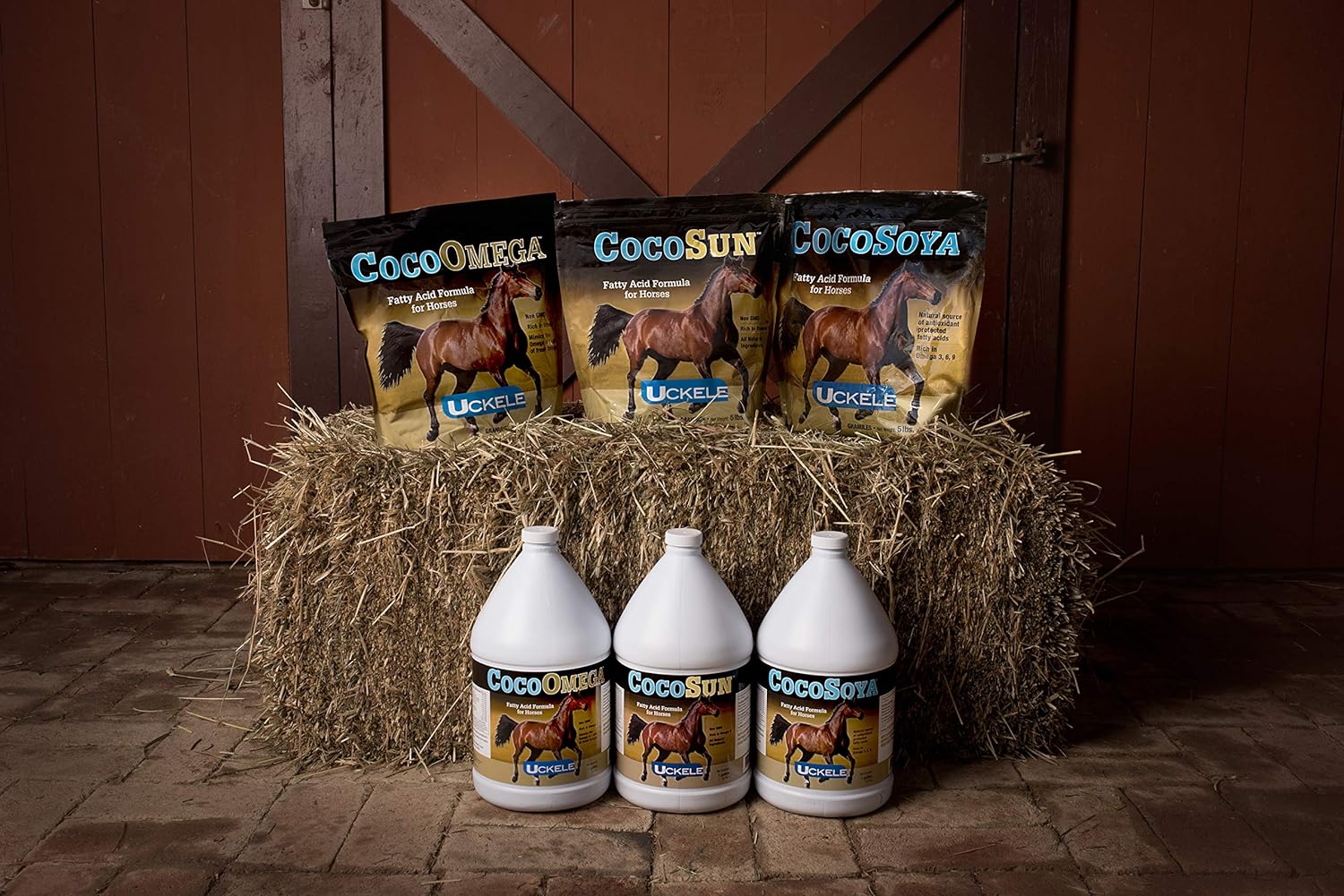 Uckele CocoSoya Oil Horse Supplement - Omega Fatty Acid Supplement for Horses - Equine Vitamin & Mineral Supplement - 5 Gallon : Horse Nutritional Supplements And Remedies : Pet Supplies