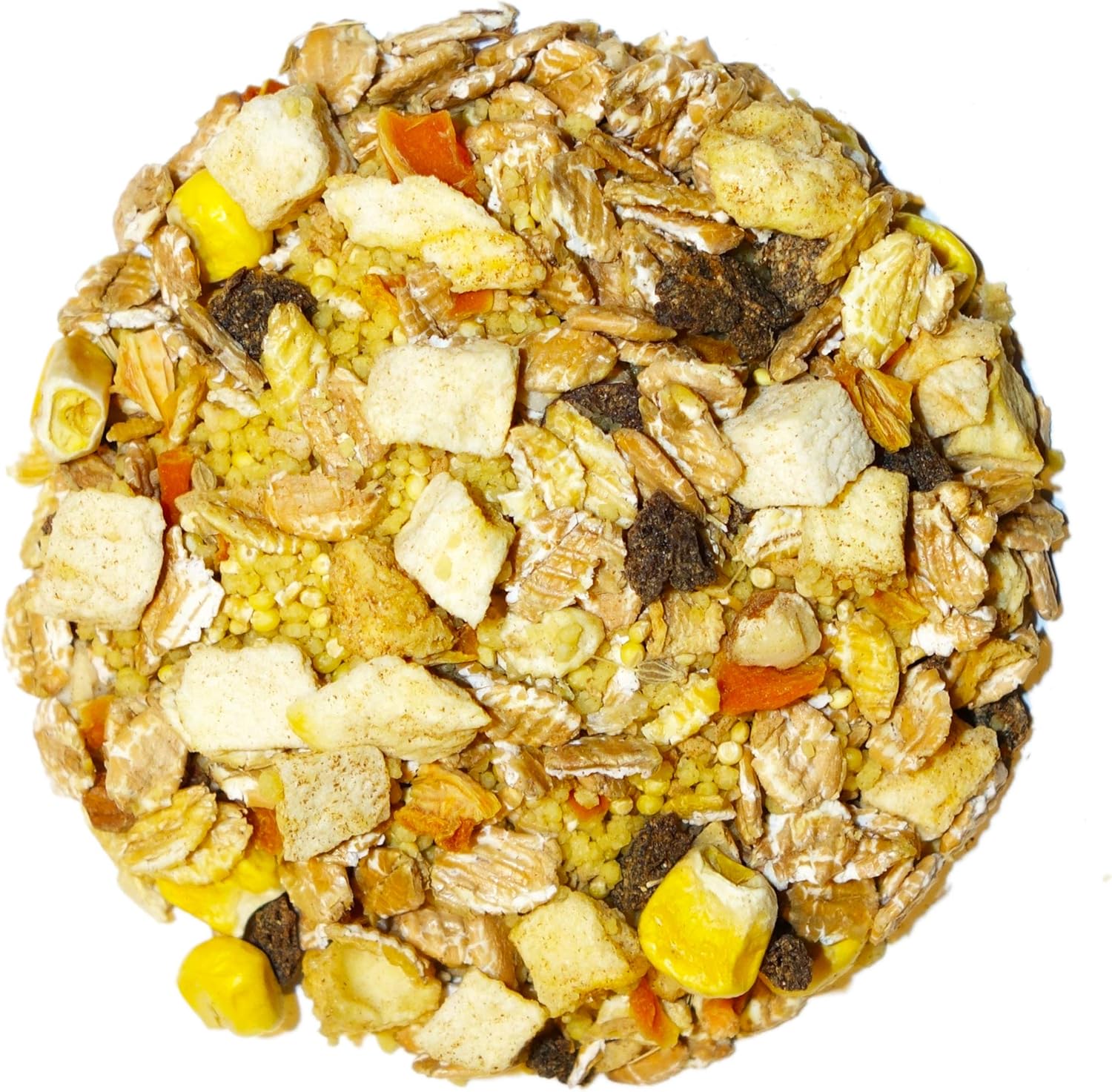 Bird Street Bistro Tropical Feast on the Fly Parrot Food 11oz :Pet Supplies