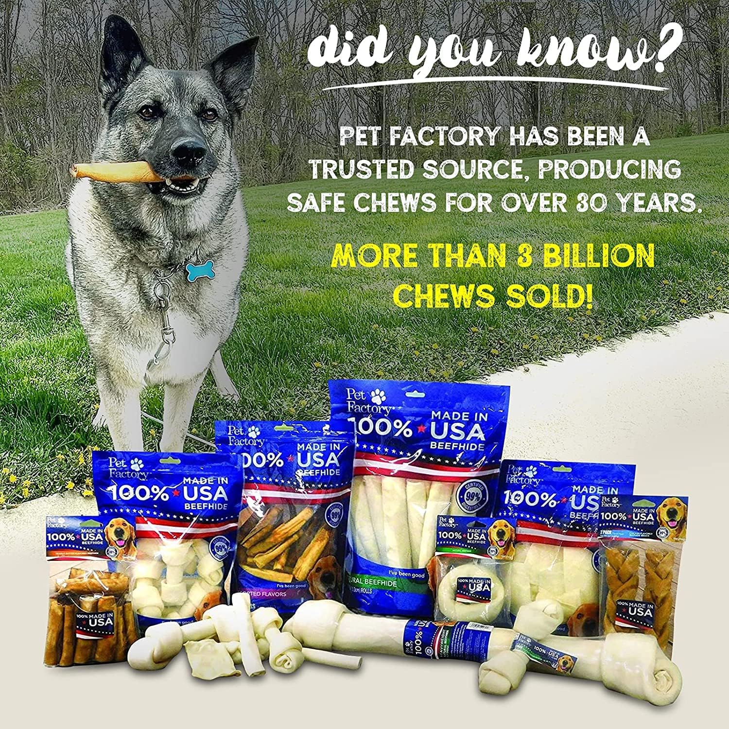 Pet Factory 100% Made in USA Beefhide 7" Braided Sticks Dog Chew Treats - Natural Flavor, 6 Count/1 Pack : Pet Supplies