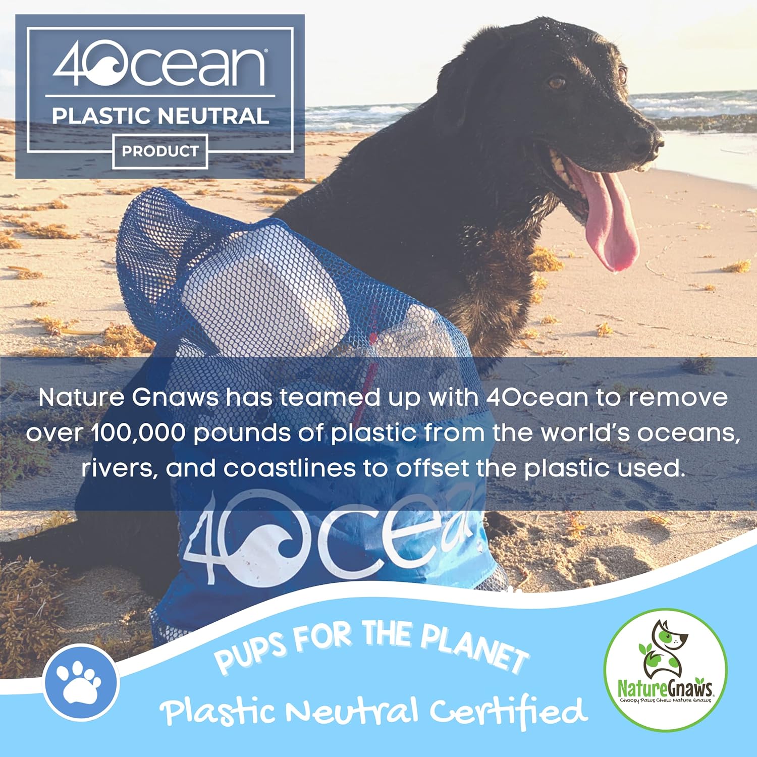 Nature Gnaws Collagen Sticks for Dogs 6" (15 Count) - Long Lasting for Small and Medium Dogs - Natural Beef Hide Dog Chew Bones : Pet Supplies