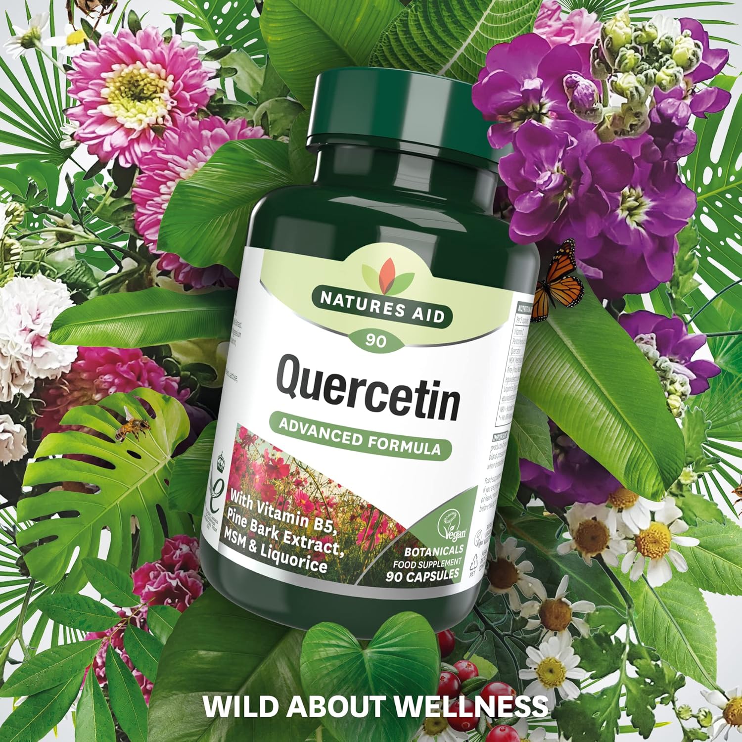 Natures Aid Quercetin Formula – Immune Support Supplement with Vitamin C, B5, MSM, Pine Bark & Liquorice – Supports Energy & Wellbeing High Strength Antioxidant – 90 Vegan Capsules : Amazon.co.uk: Health & Personal Care