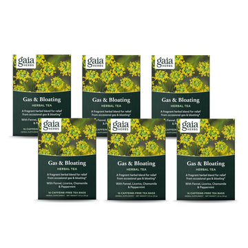 Gaia Herbs Gas and Bloating Herbal Tea, 16 Tea Bags - Support for Digestive Discomfort, Fast Acting, Caffeine Free (Pack of 6)