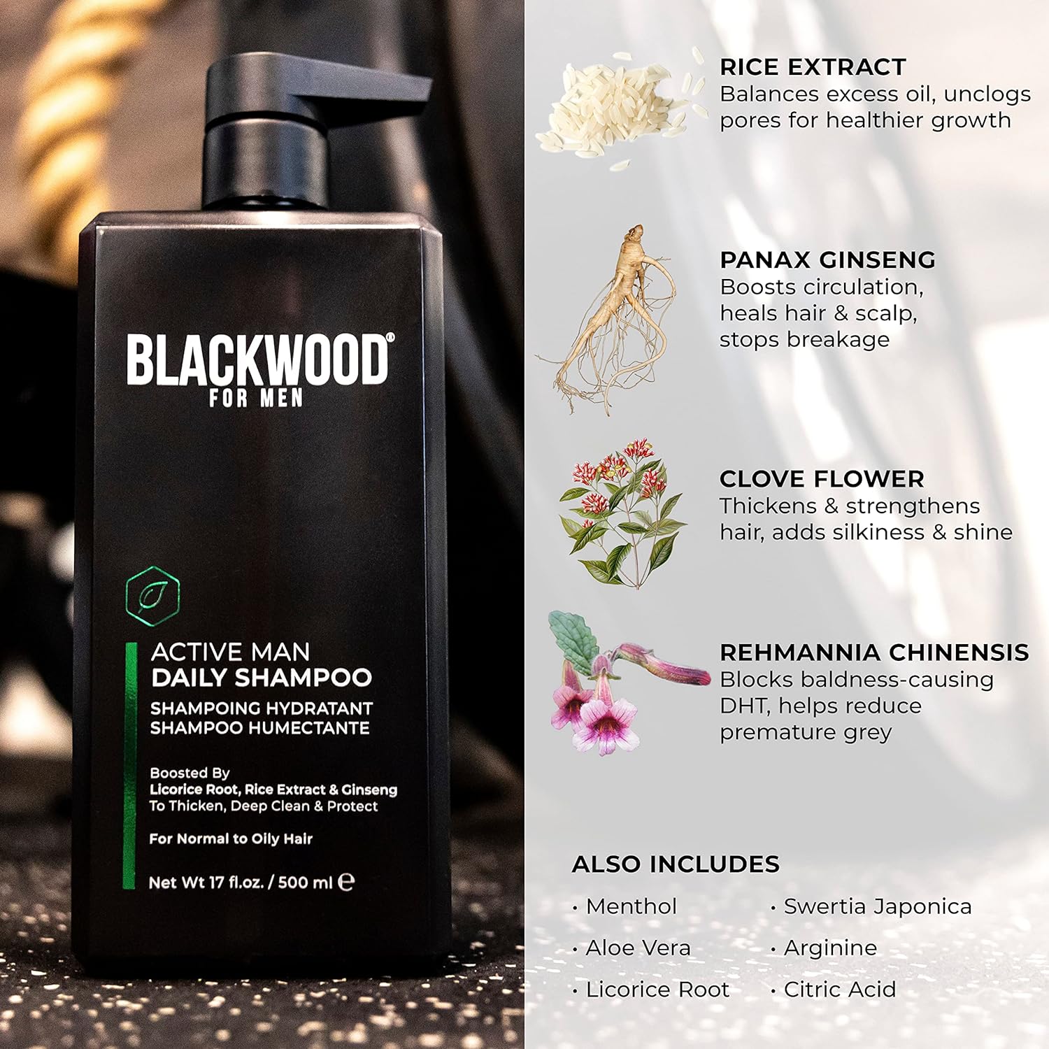 BLACKWOOD FOR MEN Active Man Daily Shampoo (17 Oz), Conditioner (17 Oz), and Pure Moisture Body Wash (17 Oz) Bundle : Beauty & Personal Care