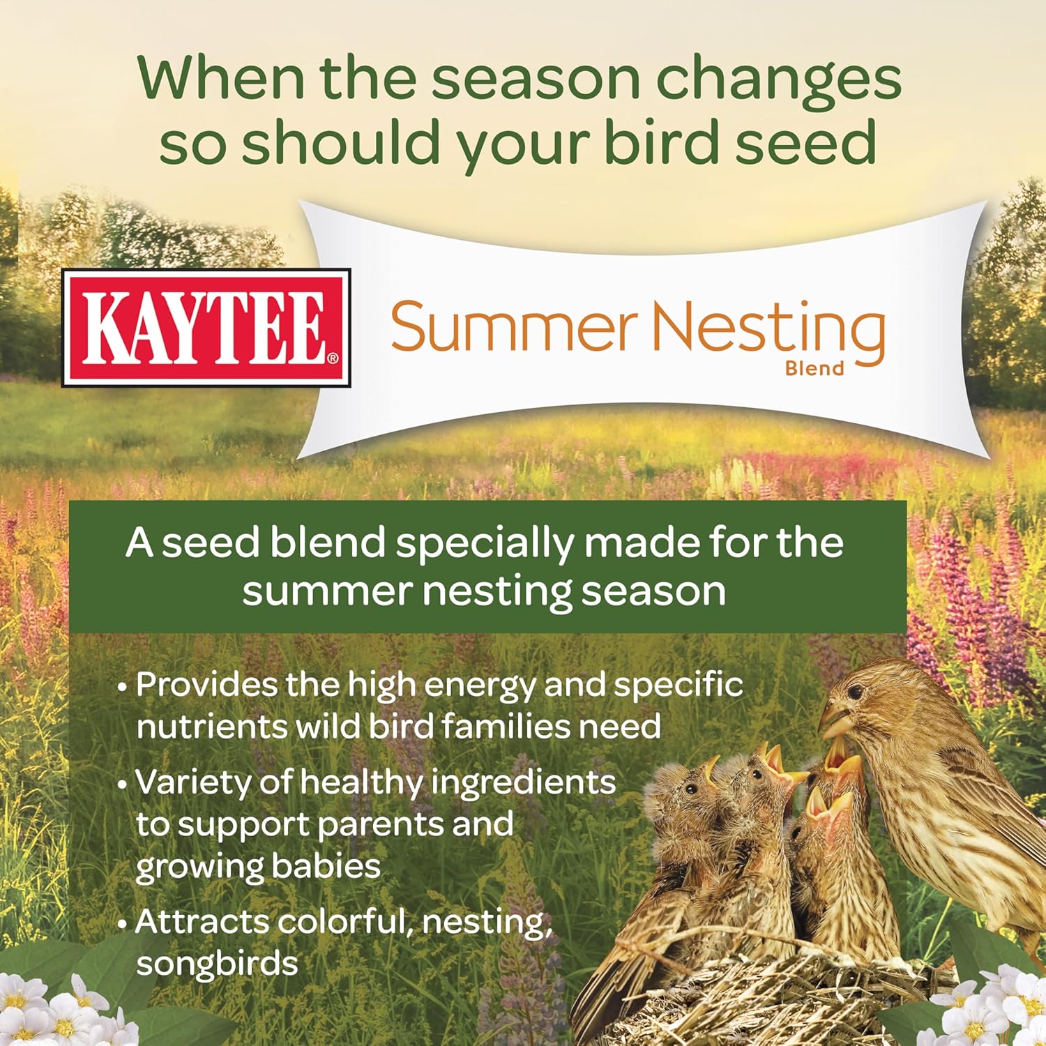 Kaytee Wild Bird Food, Summer Nesting Seed Blend, 8 lb : Pet Supplies