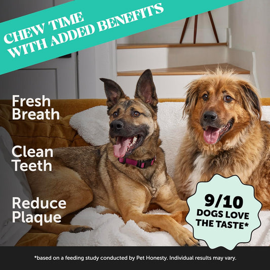 Pet Honesty Dental Health Fresh Sticks - Oral Hygiene Dental Sticks For Dogs - Dental Dog Chews - Freshen Dog Breath, Reduce Plaque + Tartar - 16 Sticks