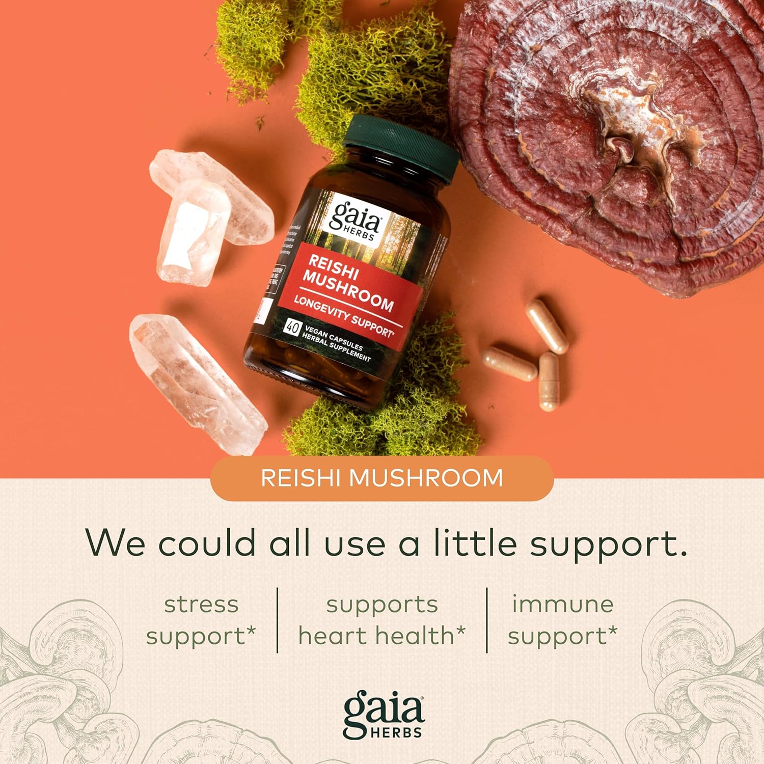 Gaia Herbs Reishi Mushroom - Helps Maintain a Healthy Immune System & Supports Heart Health - Adaptogen Herbal Supplement for Longevity Support - 40 Vegan Liquid Phyto-Capsules (40-Day Supply) : Health & Household